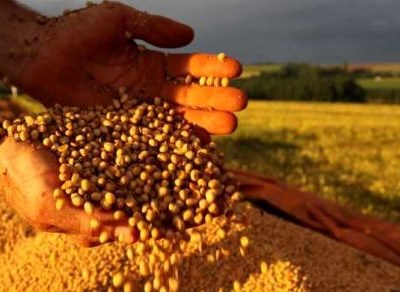 Portugal recebe em junho encontro europeu dedicado à economia rural