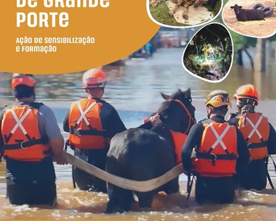 Portugal recebe primeira formação especializada de sempre sobre emergência e resgate técnico de animais de grande porte
