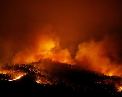 Portugueses ganham concurso mundial da IBM com inteligência artificial para detetar incêndios