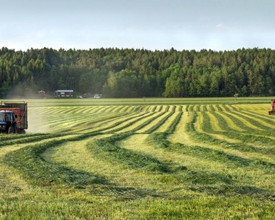 Possíveis cortes na PAC vão impactar a agricultura familiar