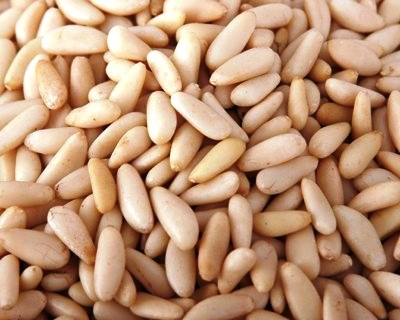 Praga ataca produção de pinhão