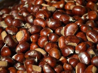 Praga provoca quebra de 50% na produção de castanha na Madeira