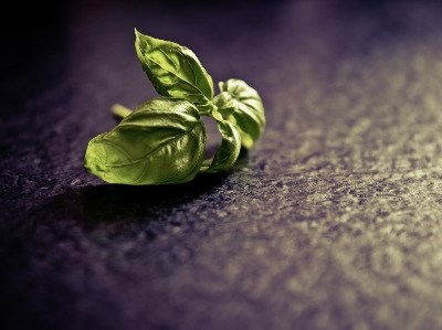 Prémio Intermarché 2015: seis produtores nacionais premiados