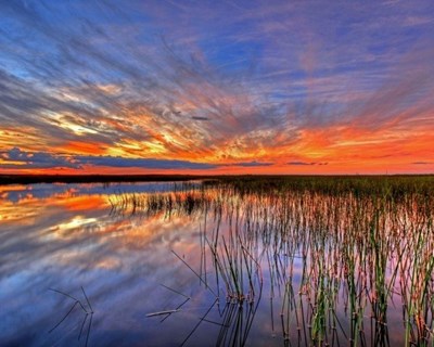 Prémio Nacional da Paisagem