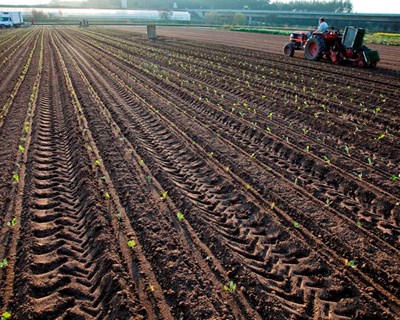 Presidente da CAP dirige mensagem aos agricultores sobre o Covid-19