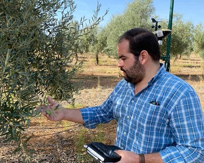 Presidente da CONFAGRI defende que a Floresta não deveria ter saído do Ministério da Agricultura
