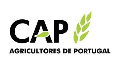 Presidente da República condecora CAP como Membro Honorário da Ordem de Mérito Empresarial