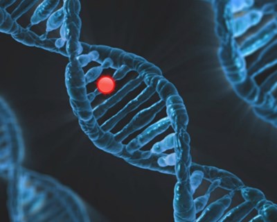 Prevê-se elevada adoção de sementes geneticamente editadas nos próximos dez anos