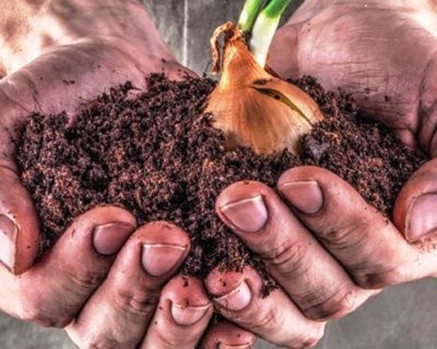 Previsões agrícolas em outubro de 2020