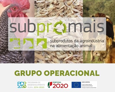 Primeira tabela portuguesa sobre composição química e valor nutricional de subprodutos