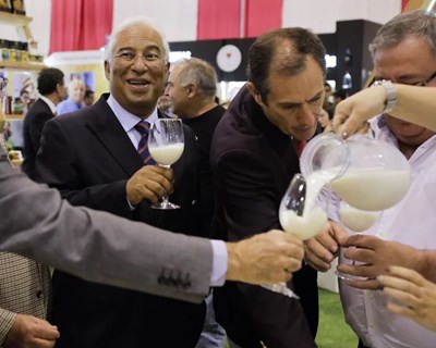 Primeiro-ministro considera Agricultura um setor essencial para o desenvolvimento do país