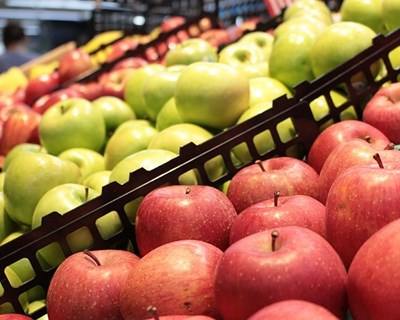 Primeiro supermercado de comida quase fora do prazo abre na Dinamarca