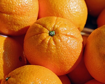 Procura por frutas e vegetais dispara na Europa