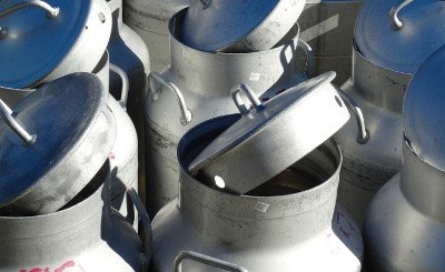Produção de leite aumenta 5,4% na União Europeia