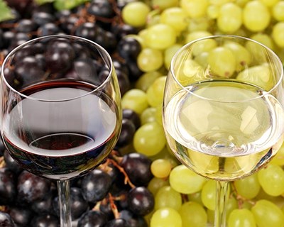Programa de Sustentabilidade dos Vinhos do Alentejo é vencedor do Concurso Europeu de Inovação Rural 2019