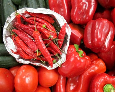 Programas de promoção dos produtos agrícolas europeus
