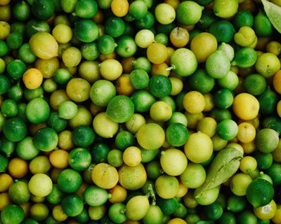 Proibição temporária de importação de limão e laranja da Argentina