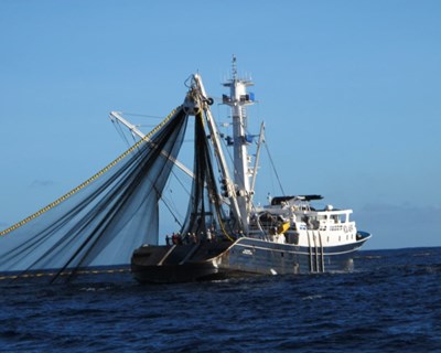 Projeto coordenado em Portugal pelo IPVC quer potenciar o turismo marítimo e de pesca