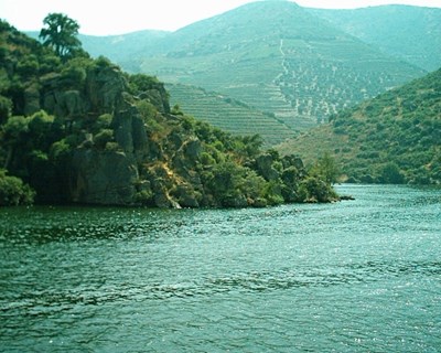 Projeto DOUROZONE: o efeito do ozono nas vinhas do Douro