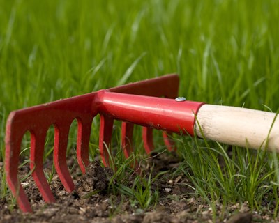 Projeto “ECONewFARMERS”: em prol da inovação na Agricultura Biológica