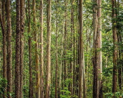 Projeto europeu TRIPLE-C divulga as melhores práticas na prevenção e gestão de riscos associados a alterações climáticas