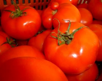 Projeto “Fruta Feia” ruma ao Porto