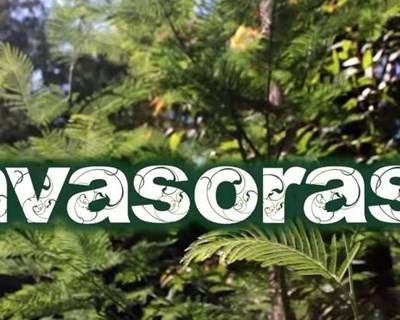 Projeto “Invasoras.pt” distinguido com Prémio Europeu de Ciência