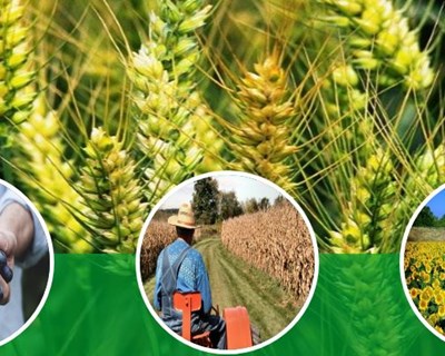 Projeto SmartFarmer