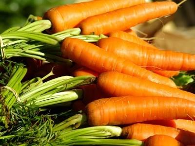 Proposta de defesa da agricultura familiar na Madeira publicada em DR