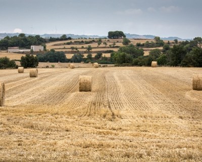 Publicada Portaria que regula figura do "Jovem Empresário Rural"