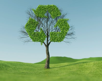 Publicado Plano de Ação para a Bioeconomia Sustentável - Horizonte 2025