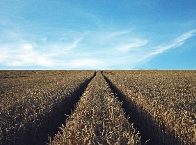 Qual o papel da inovação na agricultura na estratégia Do Prado ao Prato?