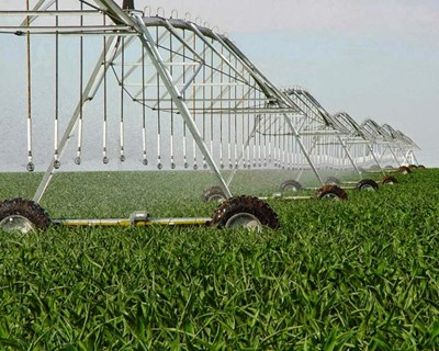 Quercus quer travar agricultura intensiva de regadio para combater seca