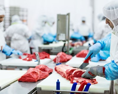 «Queremos reforçar a nossa posição no mercado externo»
