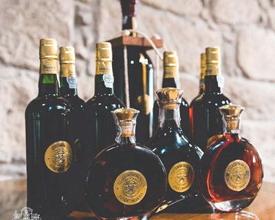 Boeira assinala Dia Internacional do Vinho do Porto