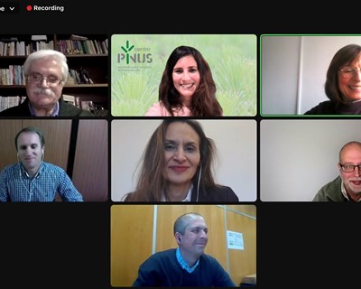 Recomendações para gestão agregada: conclusões e gravação do webinar "Investimento Colaborativo em Territórios Rurais"