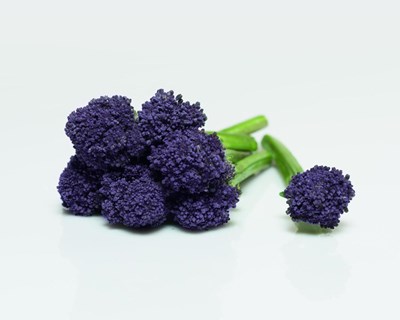 Redi é o grande vencedor do Fruit Attraction Innovation Hub Awards 2020
