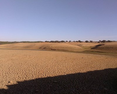 Regantes alertam para as consequências da seca na economia rural