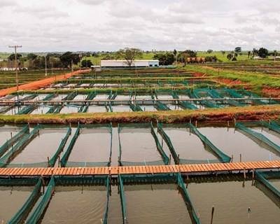 Regimes de apoio à aquicultura publicados em Diário da República