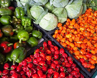 Rendimento da agricultura deverá aumentar 5,8%