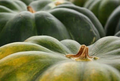 Rendimento da atividade agrícola deve aumentar 3,4% em 2015