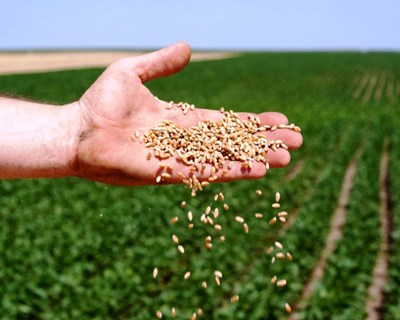 Rendimento por agricultor sobe em Portugal em 2015