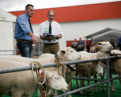 Rennes recebe em setembro feira de produção de animais