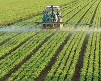 Reprogramação do PEPAC aumenta rendimento dos agricultores