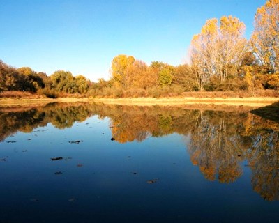 Reserva Natural do Paul do Boquilobo apresenta candidatura integrada à UNESCO