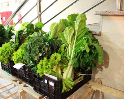 Ribatejo Interior: cabazes hortofrutícolas PROVE disponíveis há cinco anos