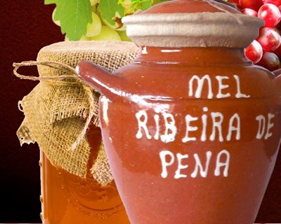 Ribeira de Pena recebe Feira do Vinho e do Mel