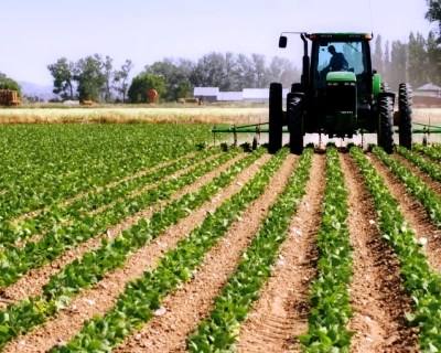 Roménia: há cada vez mais agricultores a registarem-se