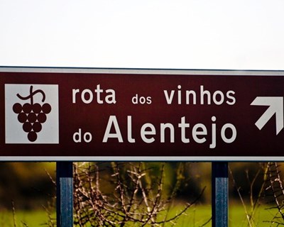 Rota dos Vinhos do Alentejo com nova «casa» num projeto de 600 mil euros