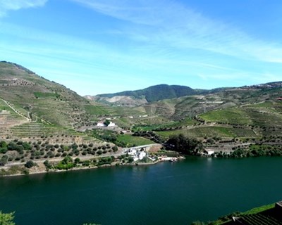 S. João da Pesqueira: Vindouro convida importadores europeus a visitar a região